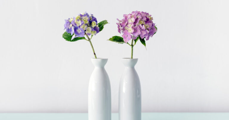 Decorative Vases Buying Guide USA 2021